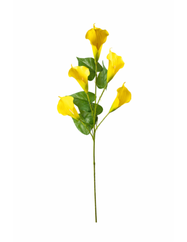 CALAS SATIN AMARILLA X5 110CM