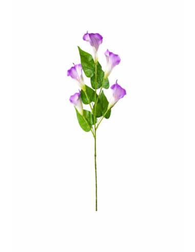 CALAS SATIN LILA X5 110CM