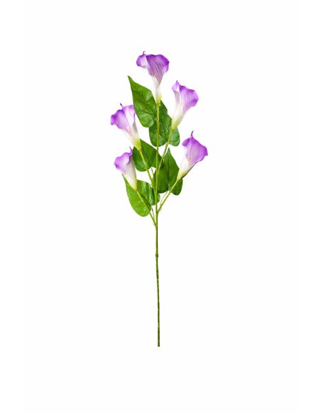 CALAS SATIN LILA X5 110CM
