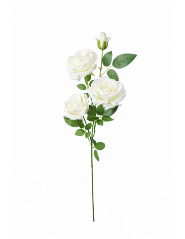 VARA ROSAS X5 110CM