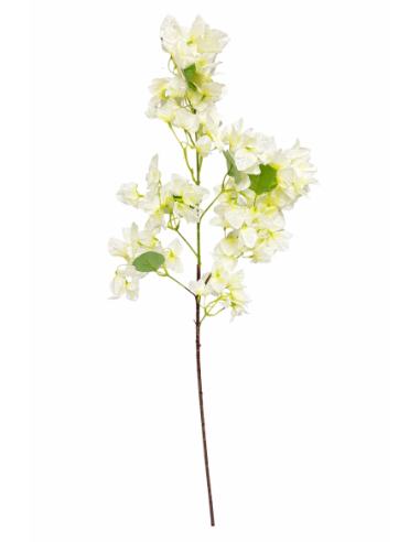 VARA BUGANVILLIA 100CM