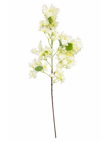VARA BUGANVILLIA 100CM