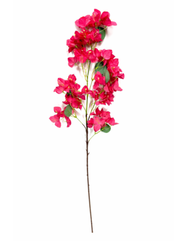 VARA BUGAVILLIA 100CM