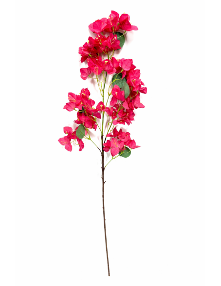 VARA BUGAVILLIA 100CM