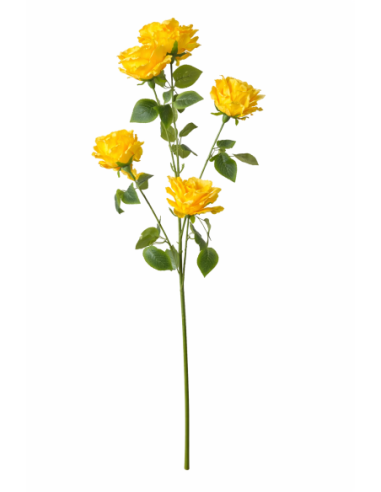 VARA DE ROSA X5 120CM