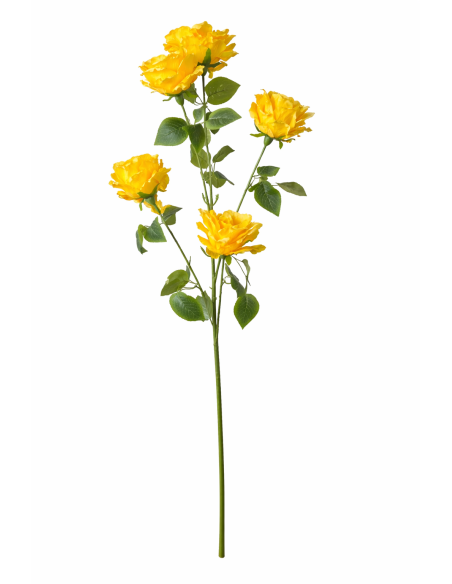 VARA DE ROSA X5 120CM