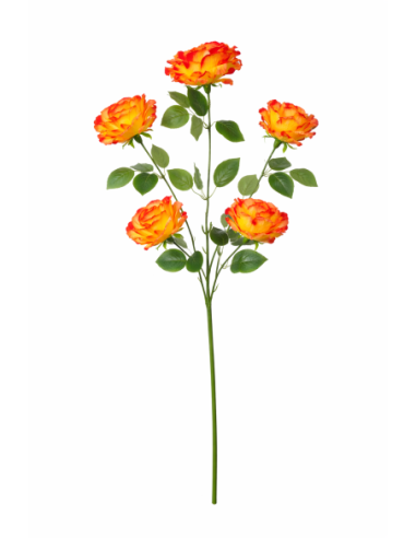 VARA DE ROSA X5 120CM