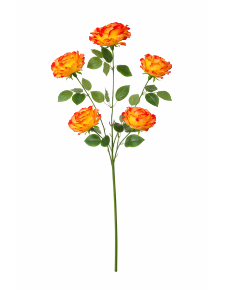 VARA DE ROSA X5 120CM