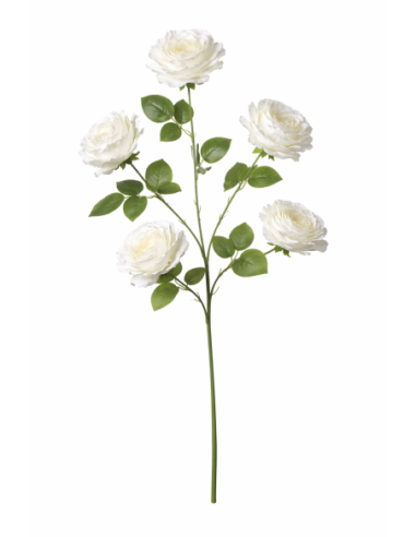 VARA DE ROSA X5 120CM