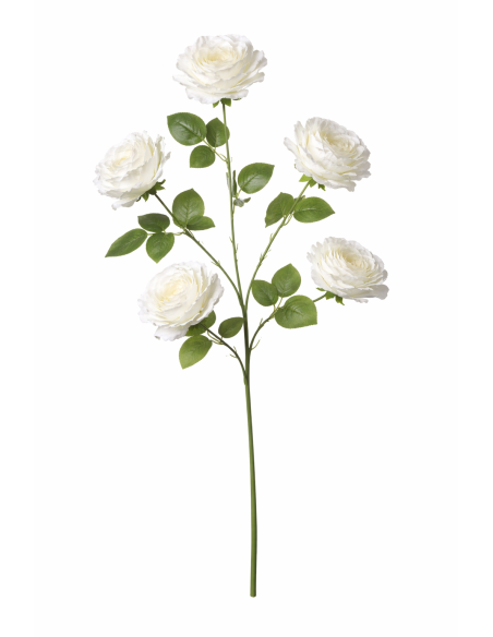 VARA DE ROSA X5 120CM