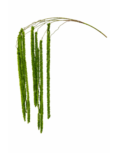 RAMA DE AMARANTHUS COLGANTE VERDE 190CM