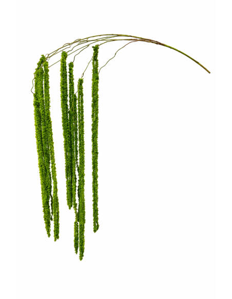 RAMA DE AMARANTHUS COLGANTE VERDE 190CM