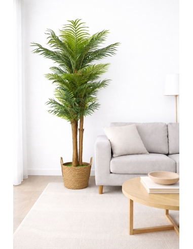 Palmera kentia artificial  185CM
