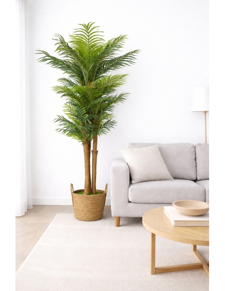 Palmera kentia artificial  185CM