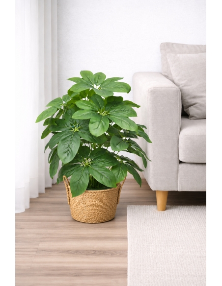 Schefflera artificial 65/70CM
