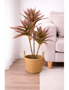 Drácena marginata artificial  65/70CM