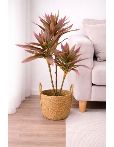 Drácena marginata artificial  65/70CM