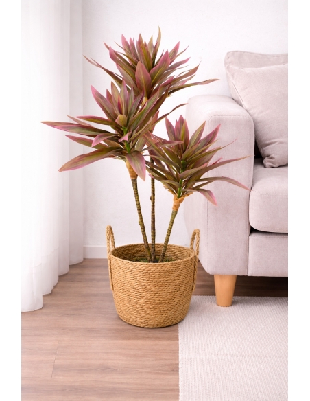 Drácena marginata artificial  65/70CM