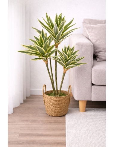 Drácena fragrans artificial  65/70CM