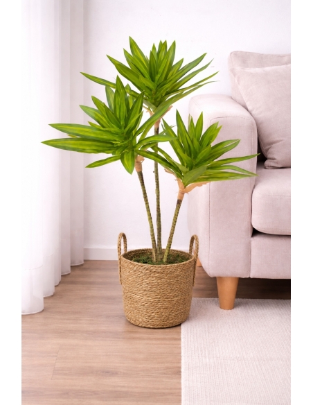 Drácena reflexa artificial  65/70CM