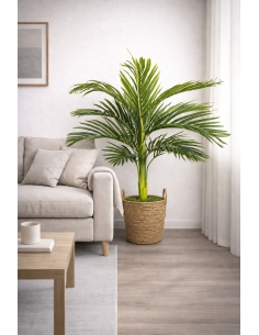 Palmera Kentia artificial 105CM