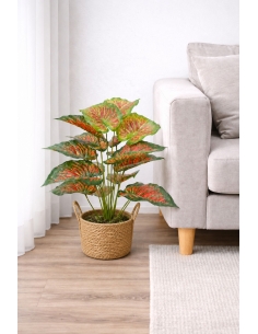 Caladium artificial  65/70CM