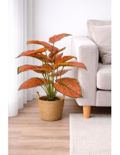 Aglaonema rojo artificial  65/70CM