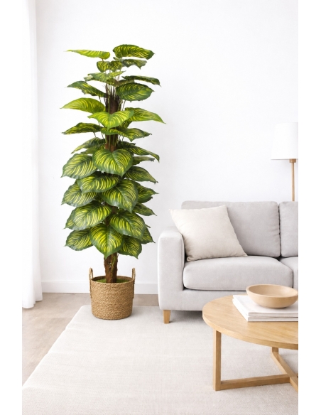 Dieffenbachia artificial ALT 170CM