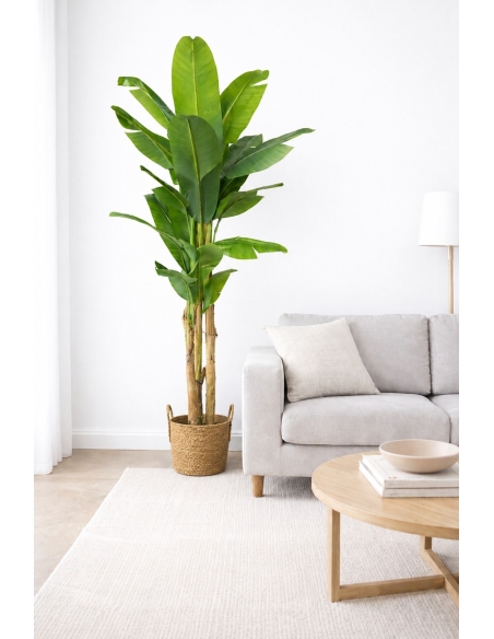 Platanera artificial 240CM