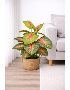 Aglaonema artificial roja 55CM