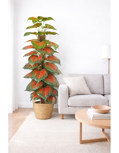 Aglaonema artificial  170CM