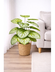 Aglaonema artificial 65/70CM
