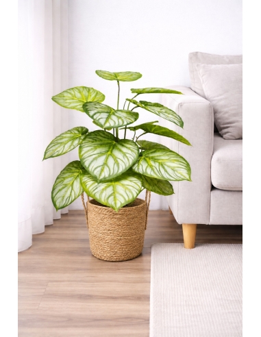 Aglaonema artificial 65/70CM