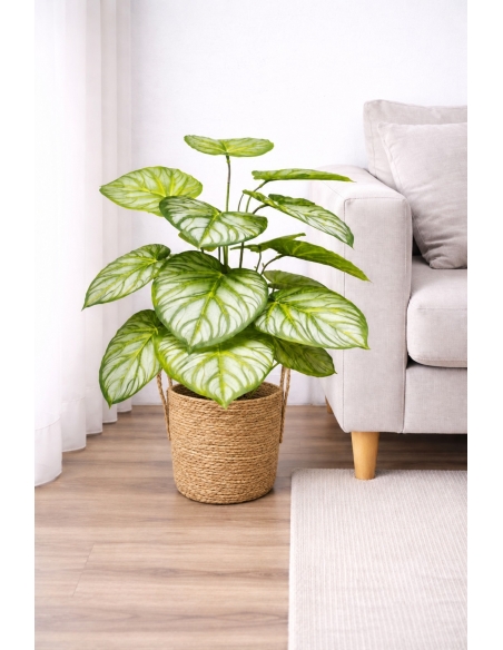 Aglaonema artificial 65/70CM