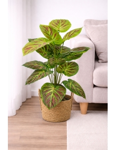 Caladium artificial  65/70CM