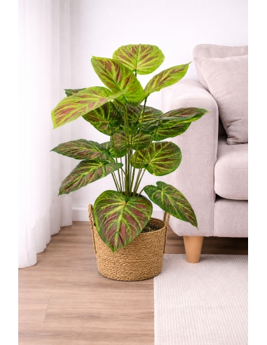 Caladium artificial  65/70CM