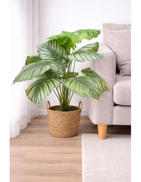 Calathea artificial 55CM