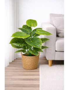 Philodendron artificial 65/70CM