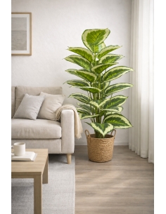 Aglaonema artificial  100CM