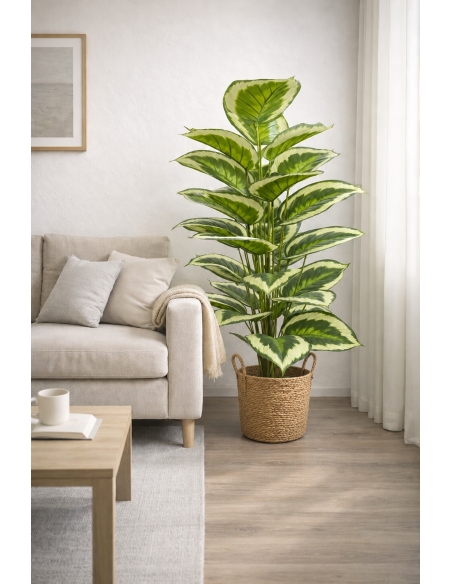 Aglaonema artificial  100CM
