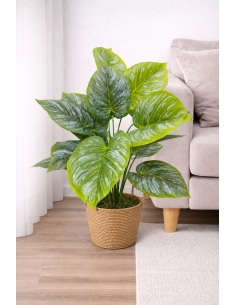 Philodendron artificial plateado  65/70CM