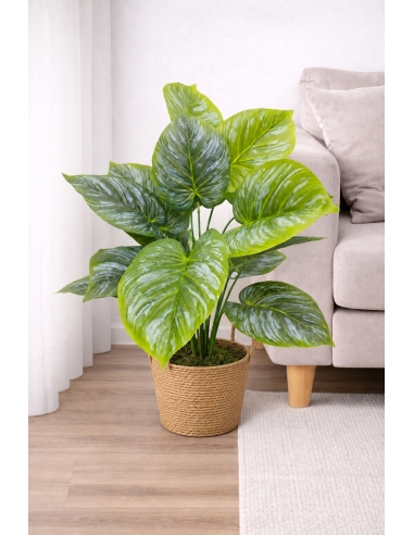 Philodendron artificial plateado  65/70CM