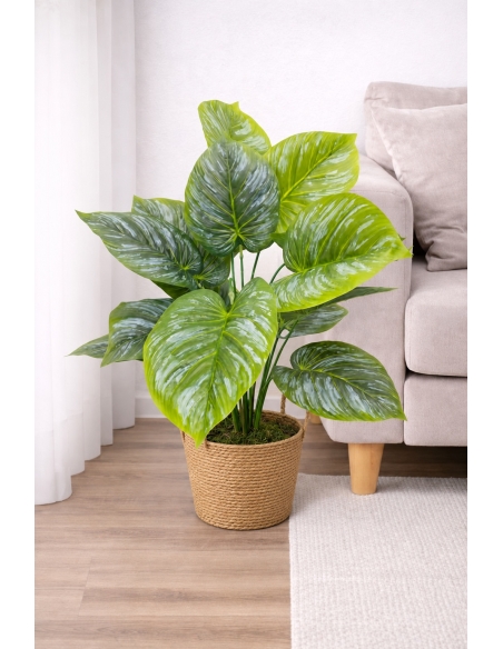 Philodendron artificial plateado  65/70CM