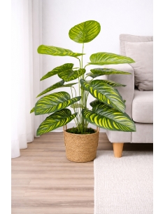 Calathea artificial 65/70CM
