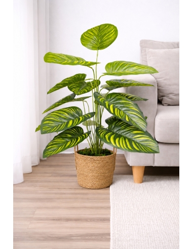 Calathea artificial 65/70CM