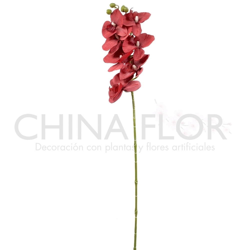 RAMAS ORQUIDEA 75CM