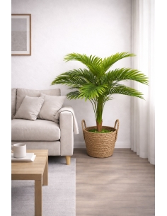 Palmera Kentia artificial 85CM