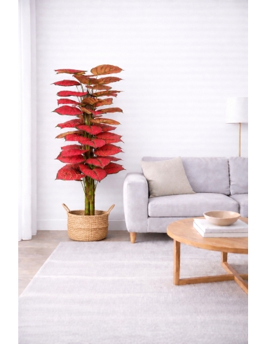 Caladium Artificial 170CM
