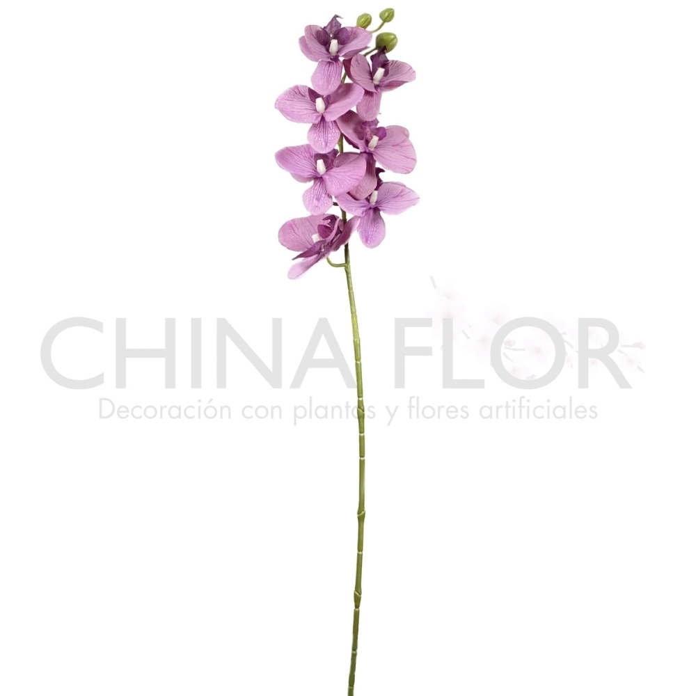 RAMAS ORQUIDEA 75CM