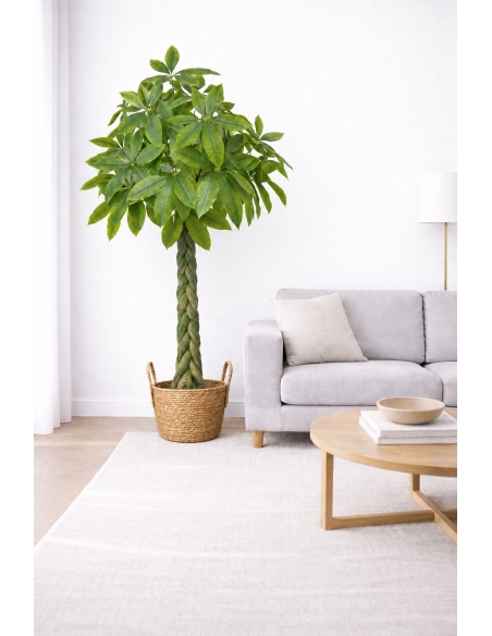 Pachira artificial  170CM
